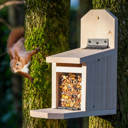 Wetterfeste Eichhörnchen-Futterstelle mit klappbarem Futtertablet