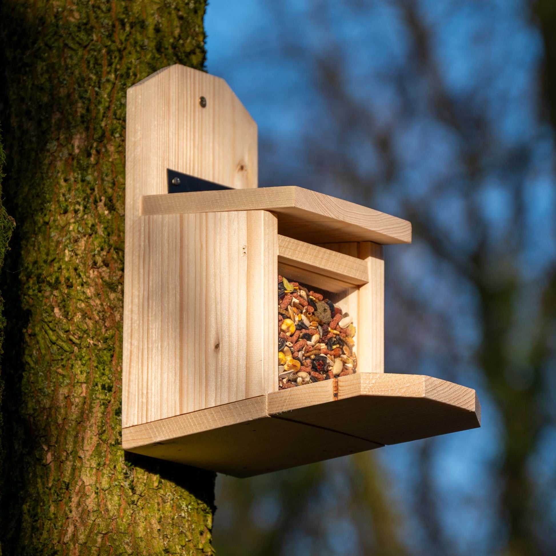 Nachhaltiges Futterhaus für Eichhörnchen aus unbehandeltem Holz